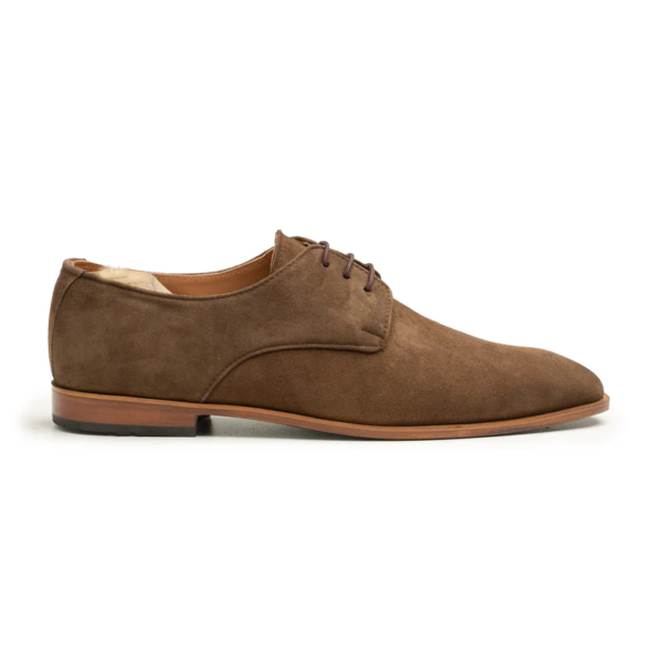 The Regal Suede Derby